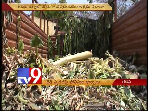 Shots fired at red sanders smugglers in Chittoor by police