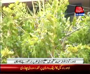 Islamabad: Warm, dry weather forecast