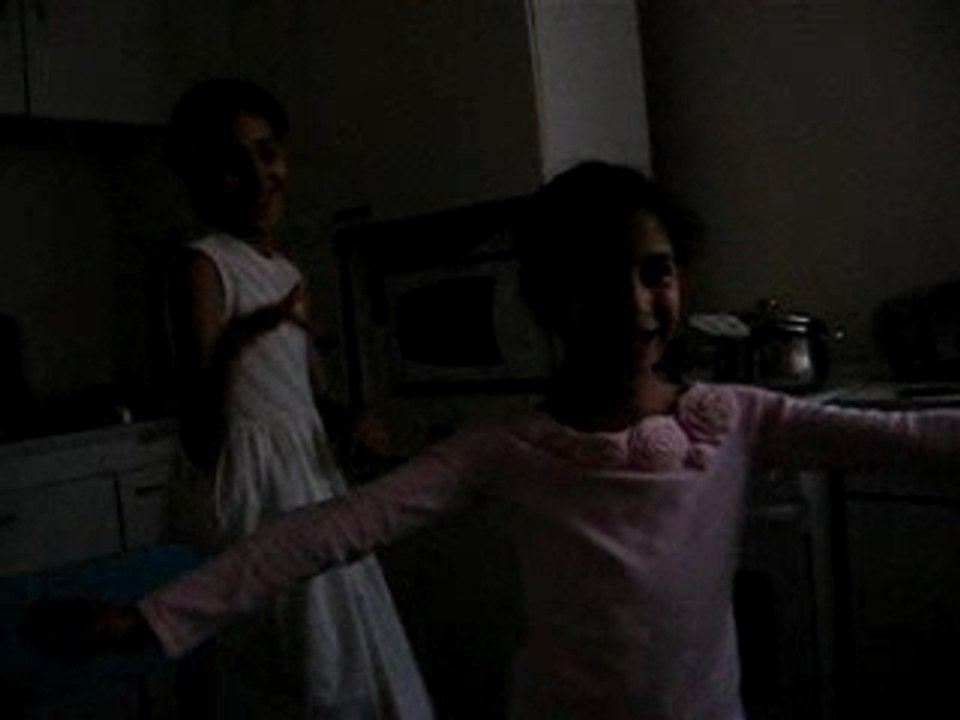 Nancy Ajram by roufia et marwa