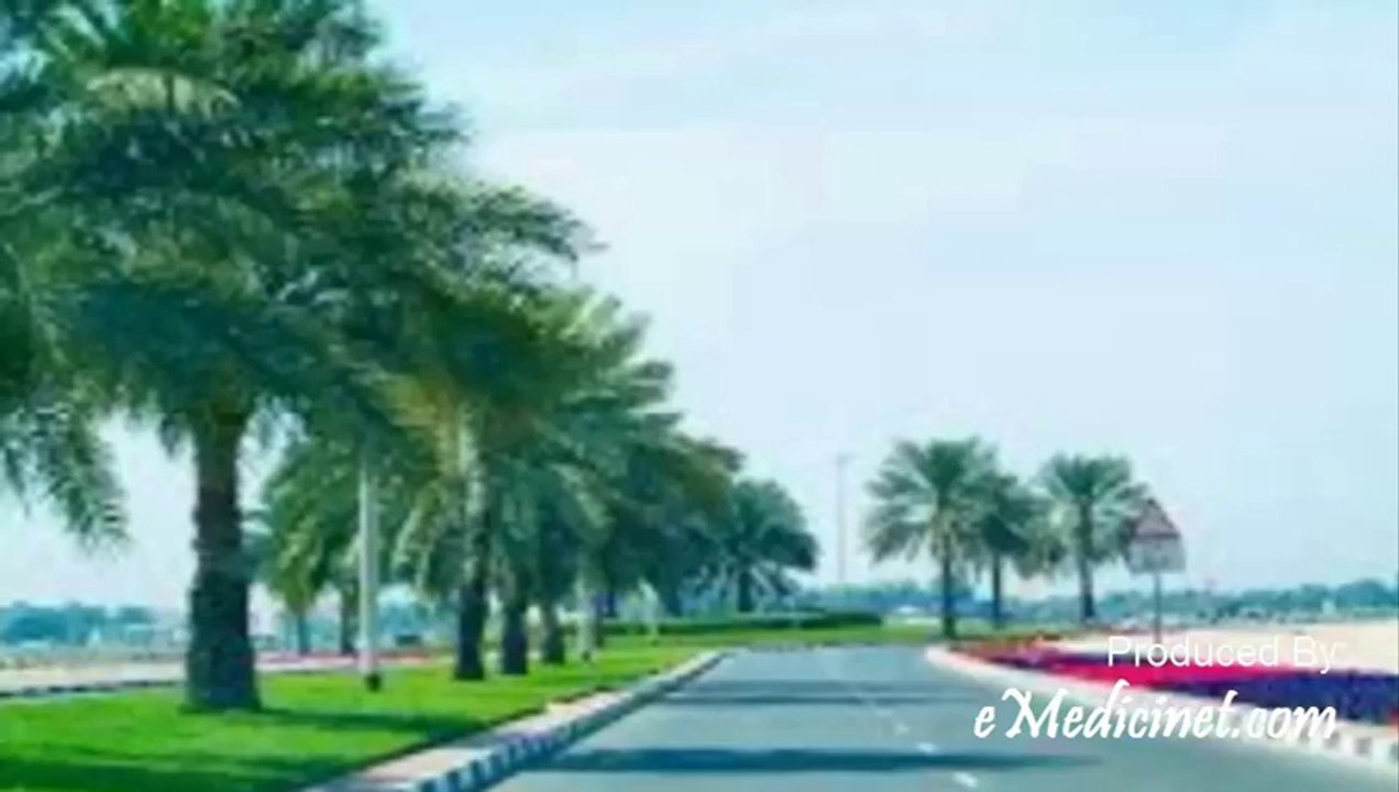 Dubai Road Network