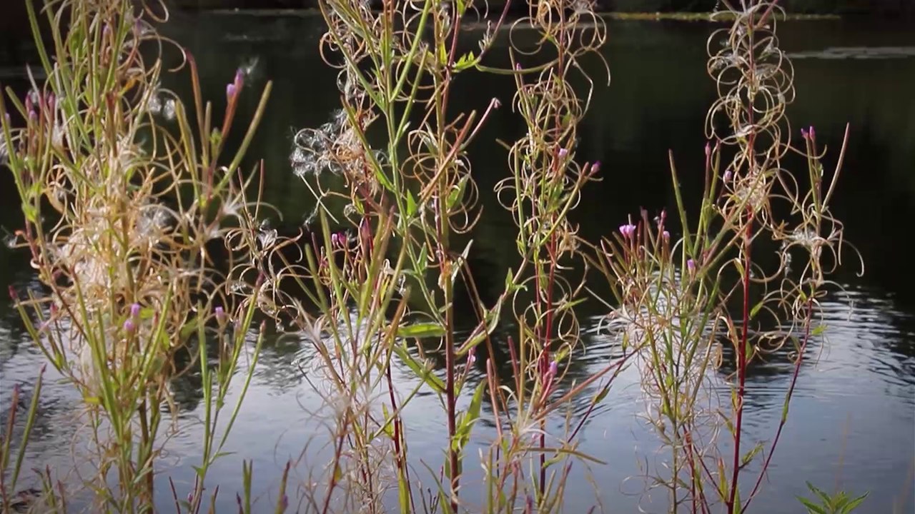 hochzeitslocation-casino-andernach