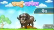 Domestic Animals | Animated Video For Kids | Hindi Animation Video