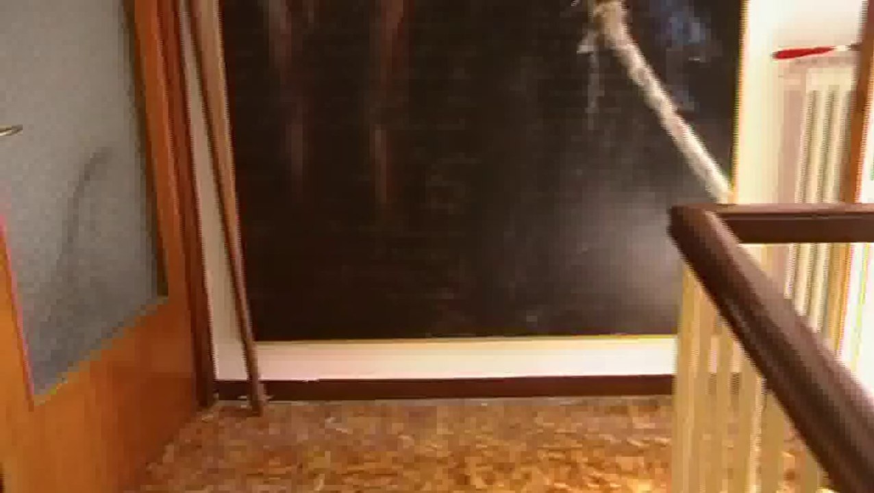 casa