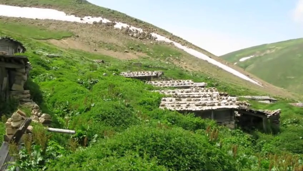 Ayşenur Kolivar - Yaylalar