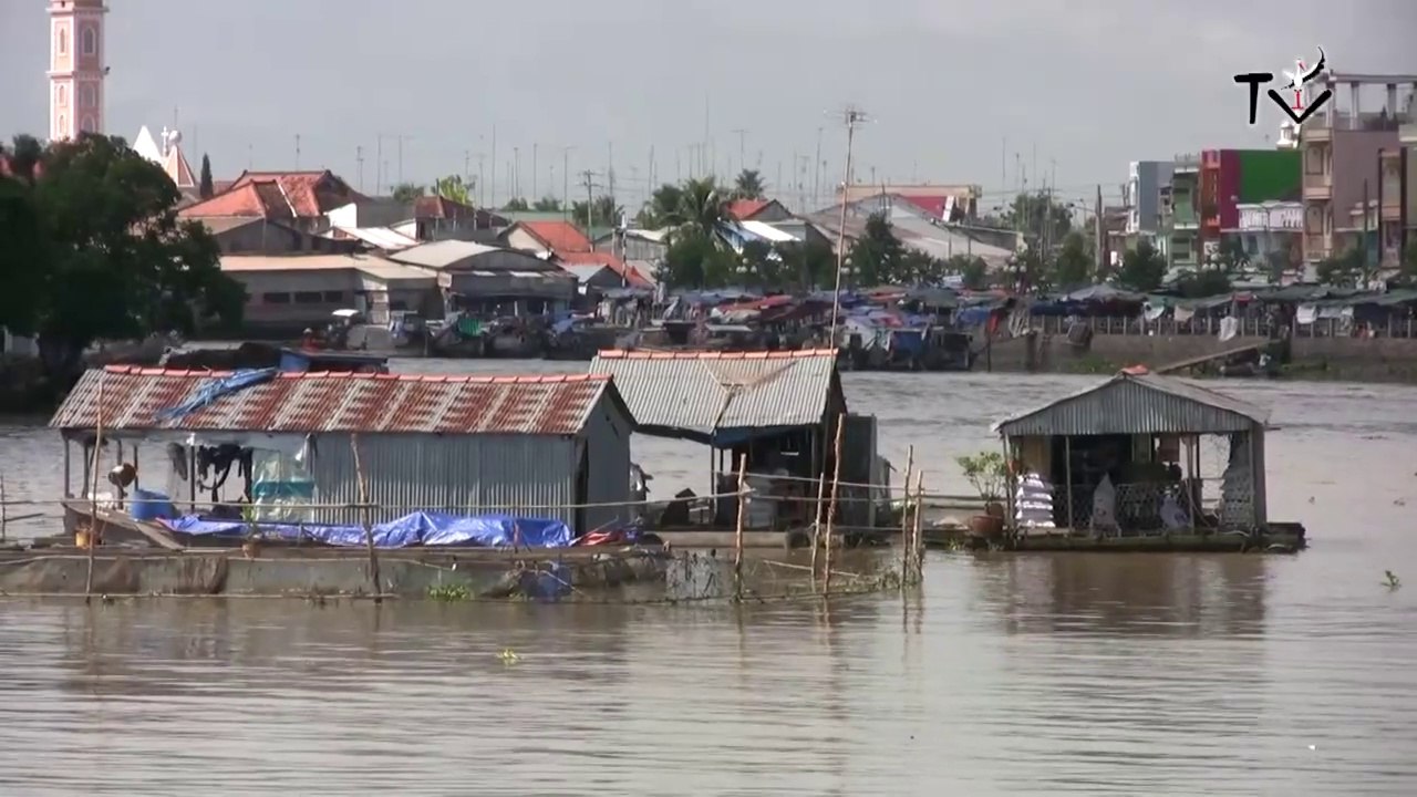 Le delta du Mékong (Vietnam)