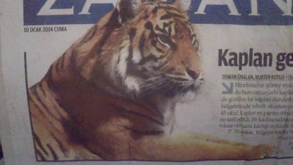 Ormanlar Kralı Sinba - rüzgarın krallığı 2.bölüm - kubilaysavash