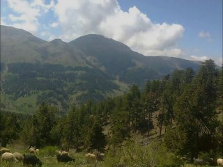 SAİMBEYLİ / NALTAŞ KÖYÜ