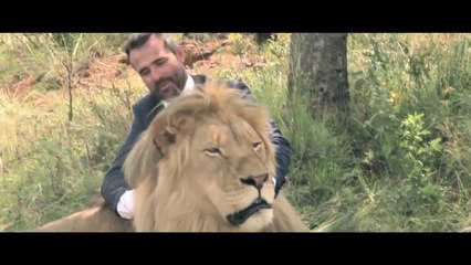 playing football with wild lions