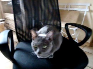 Je teste le nouveau fauteuil de Môman