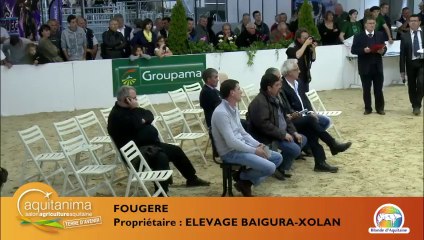 Live Concours en Direct