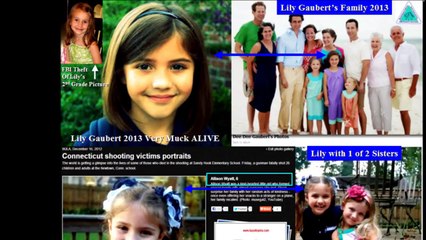 US Criminal Government: Newtown School District Internet Correlations Indicate Sandy Hook FRAUD