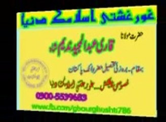 MULANA QARI ABDUL MAJEED NADEEM SHAH SHAB AT VILLEGE BARAZAI HAZRO ATTOCK