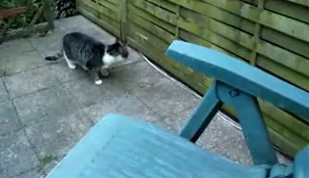 Hunt&bad luck/Jagd&Pech/caça&azar