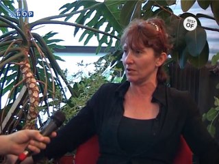 Kult art, 24. maj 2014.