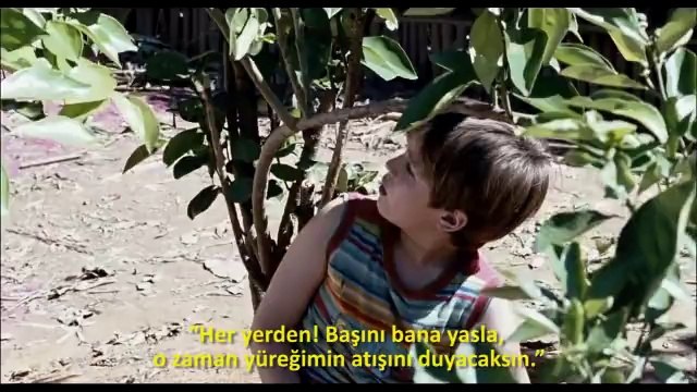 Şeker Portakalı Türkçe Alt Yazılı Fragman