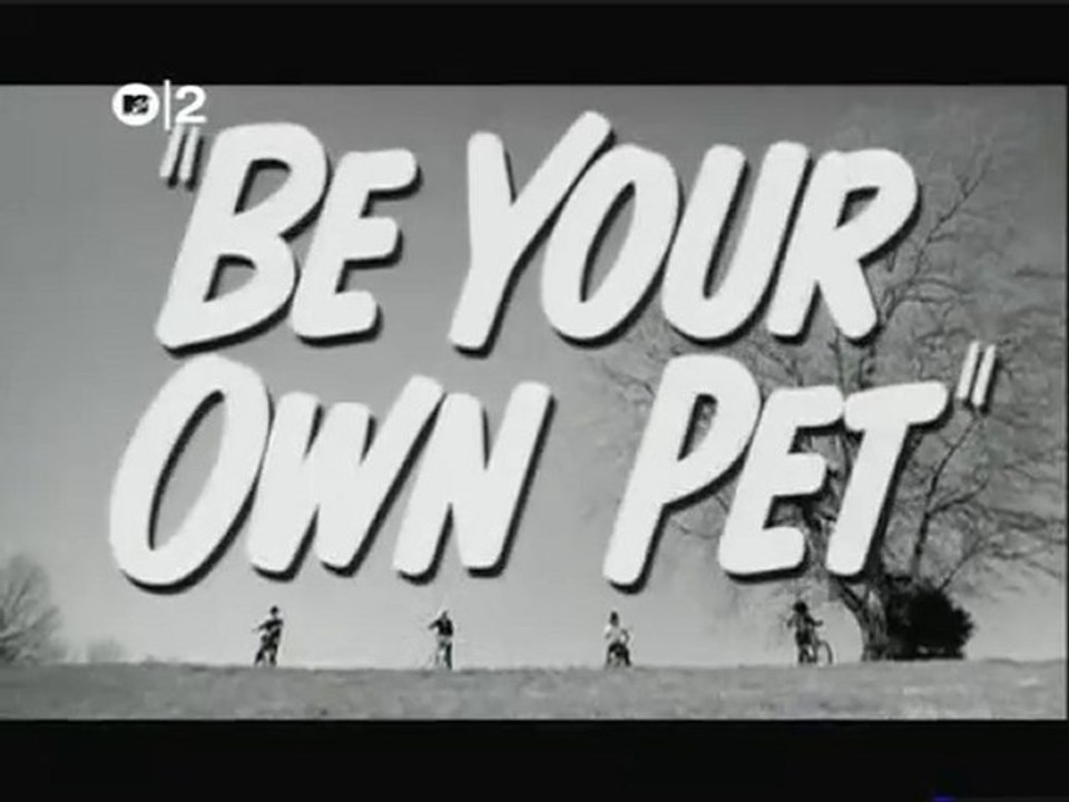 Be your own pet