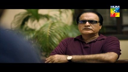Main Dewani Episode 17 Full Drama On Hum Tv  24 May 2014