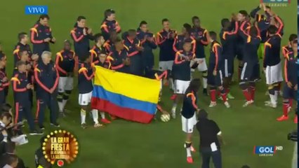 Mario Yepes y la Seleccion Colombia: Emotiva despedida en El Campin
