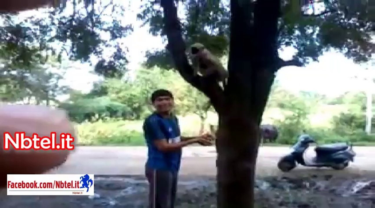 Es tara de lok hunde ho kese da vishvash tod de ne,