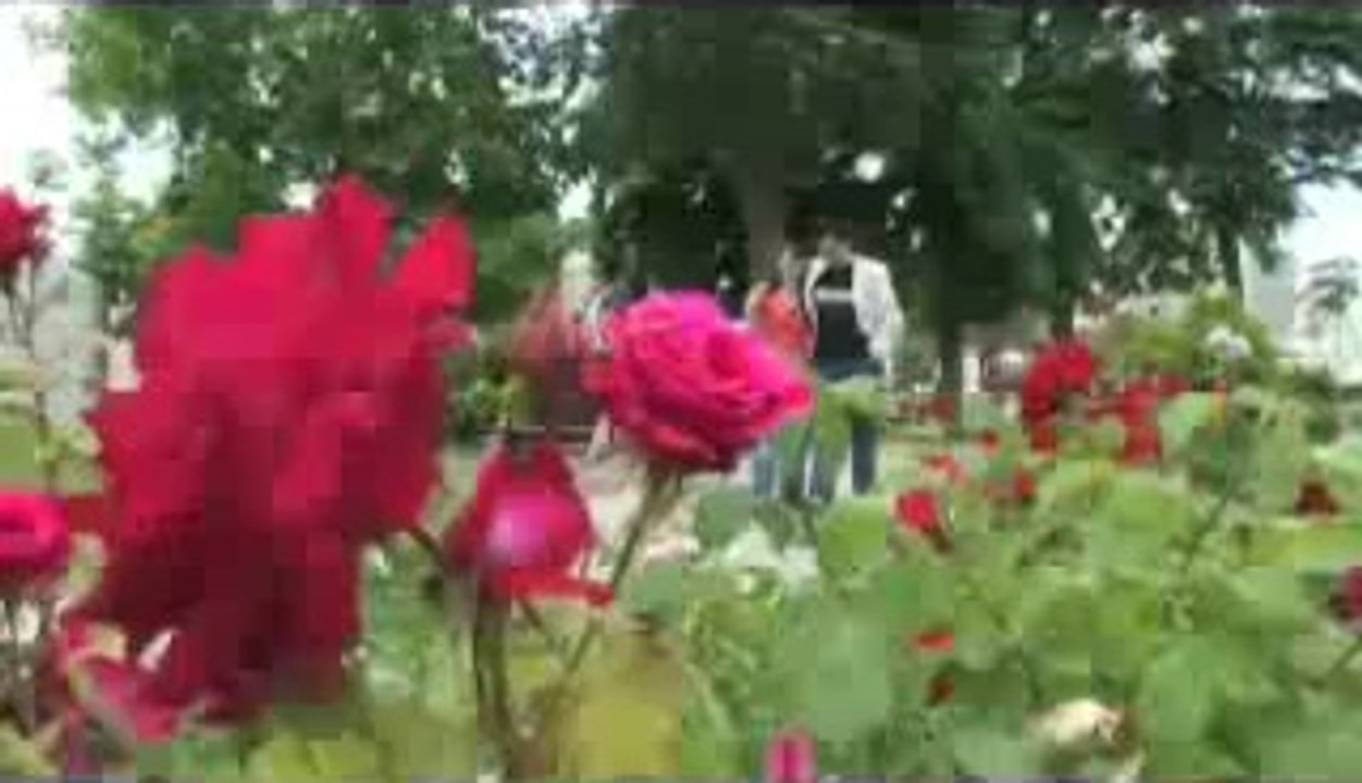 Hüseyin yıldırım değmezmiş sana