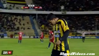 Sahada koşan köpekler