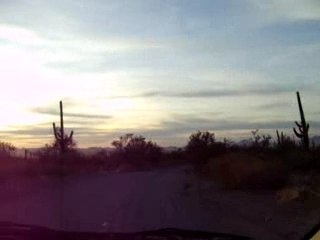 Saguaro Nat'l Forest at Sunset