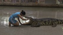 Timsahın ağzına kafasını sokan kadın