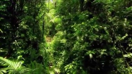 هل تريد معرفة سر لجعل راتبك ما يخلص - شاهد وتعلم