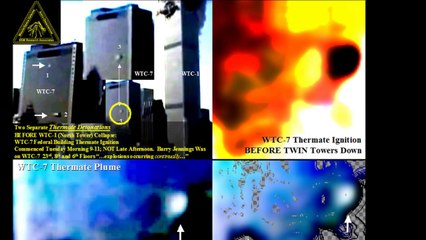 US Criminal Regime: Expert 9/11 Witness, Danny Jowenko, Ordered Murdered