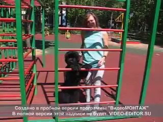 Жара, Маша, Рекрут.