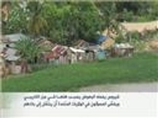 فيروس يحمله البعوض يسبب هلعا بجزر الكاريبي