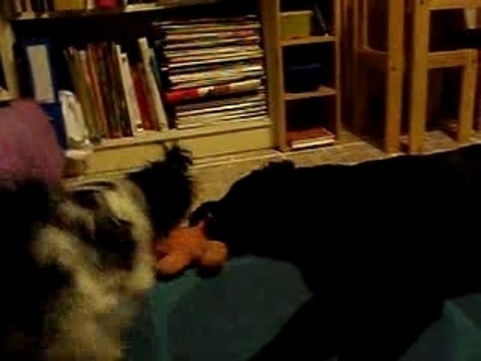 Les filles qui jouent