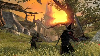 Divinity 2 Ego Draconis Gameplay Game Trailer #3