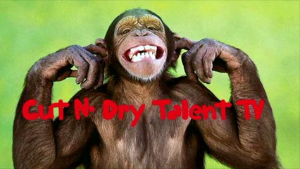 Cut N' Dry Talent TV's Cheesy Commercial!