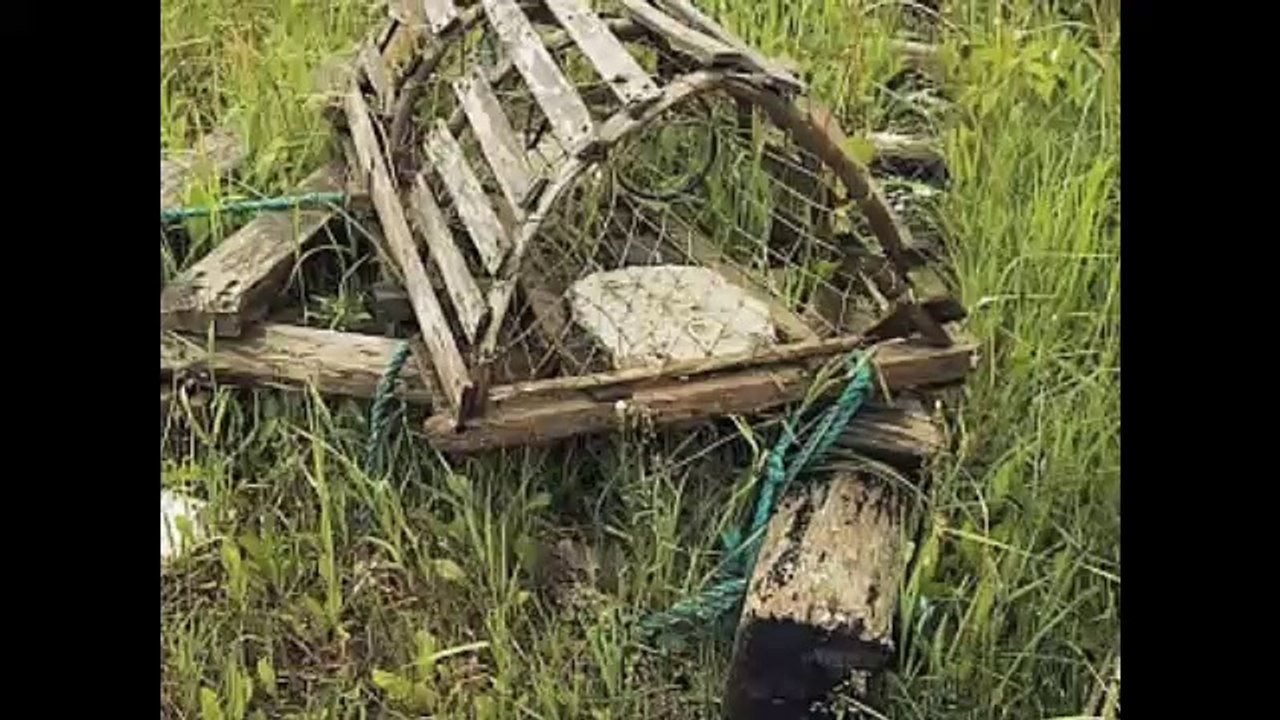 Scenes of Newfoundland