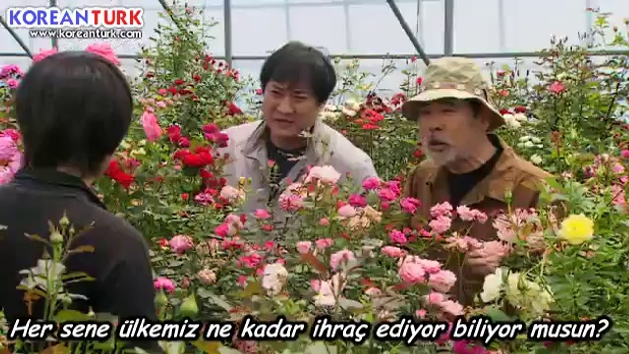 ms15_clip0