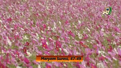 Hz. Yakup Peygamber'in Kıssası