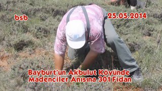 Bayburt'un Akbulut Köyünde Madenciler Anısına 301 Fidan