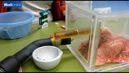 Shocking witness the damage caused by smoking 60 cigarettes!