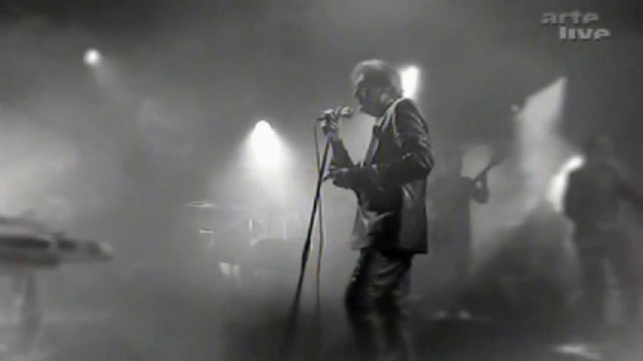 Alain BASHUNG - La nuit je mens ( reprise ) 2014