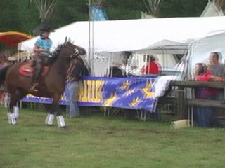 Plaine de Walsch 2011