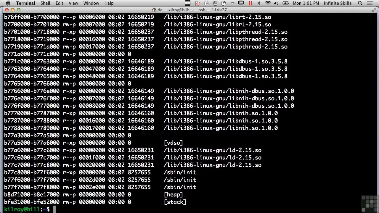 Executable Types And Structure Unix-Based