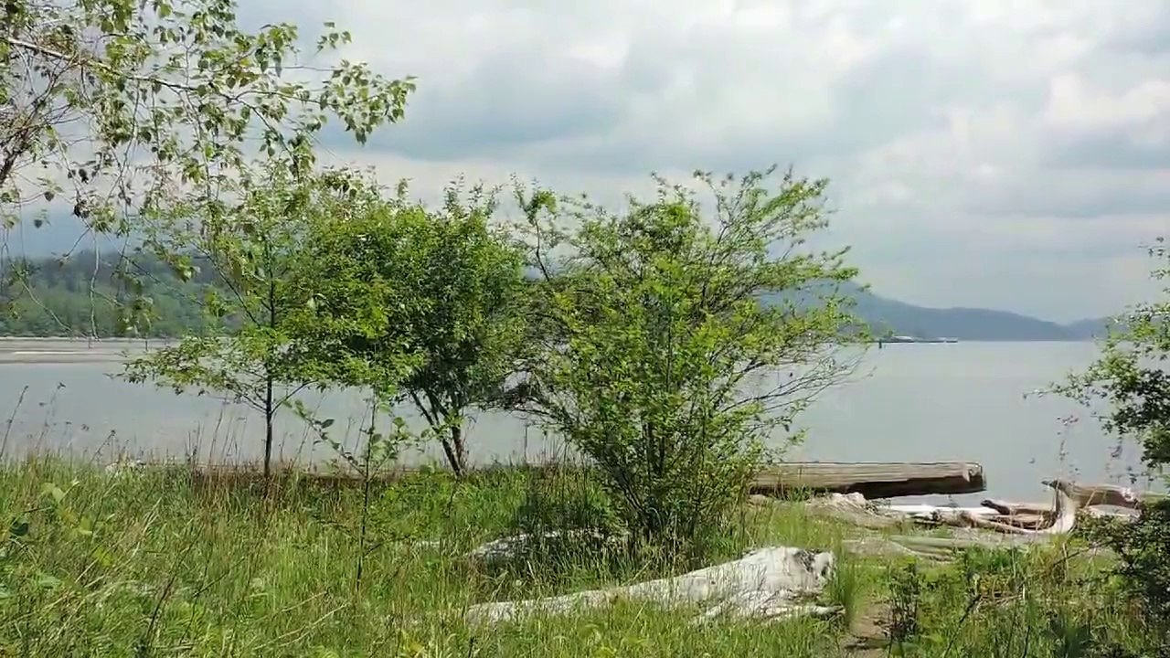 the wind