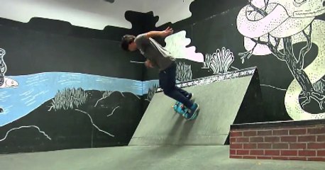 12 Pack of Louie Barletta - Skateboard