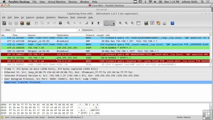 Man In The Middle Attacks