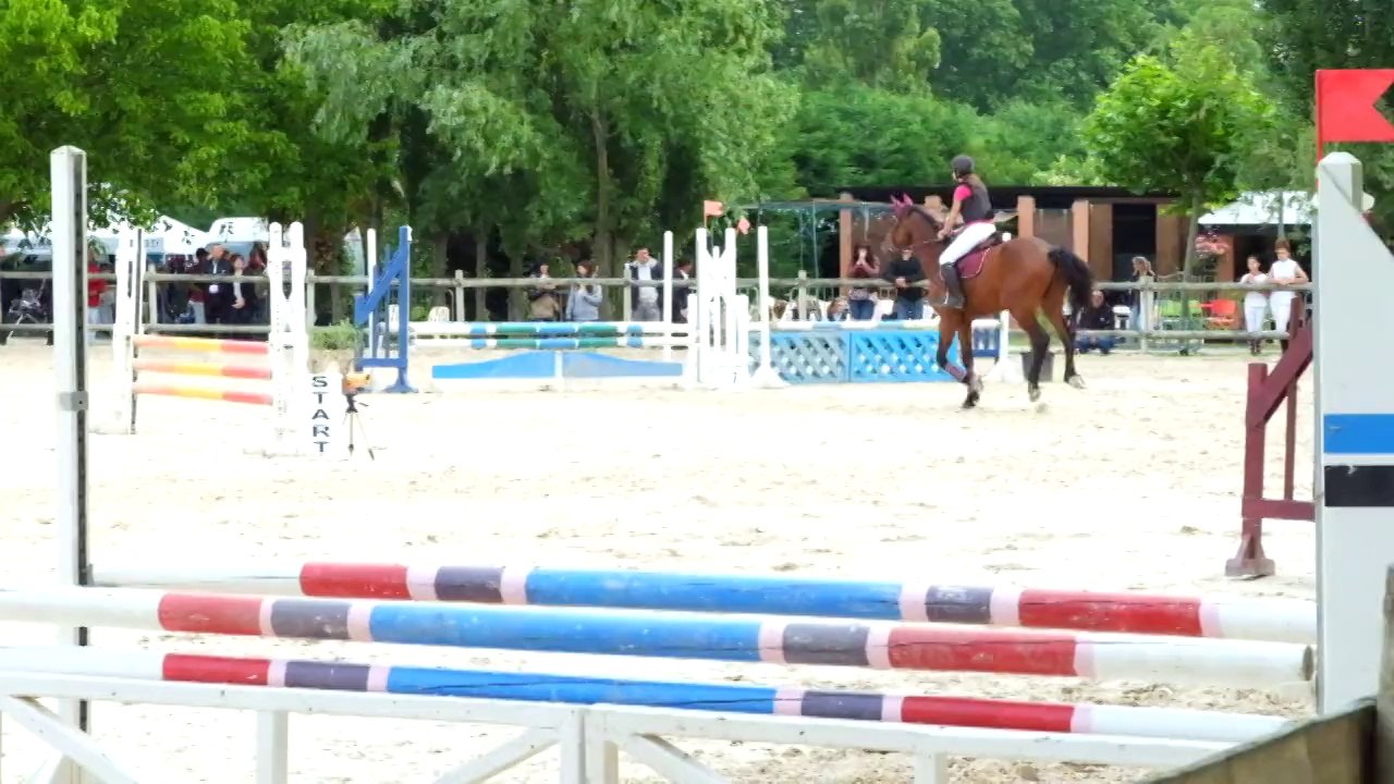 Oberon d'Elne et Zoé championnat départemental