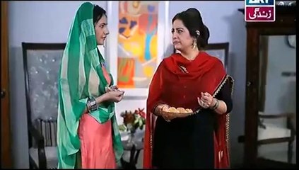 Bahu Begam Episode 21 Full Drama On ARY Zindagi - 25 May 2014