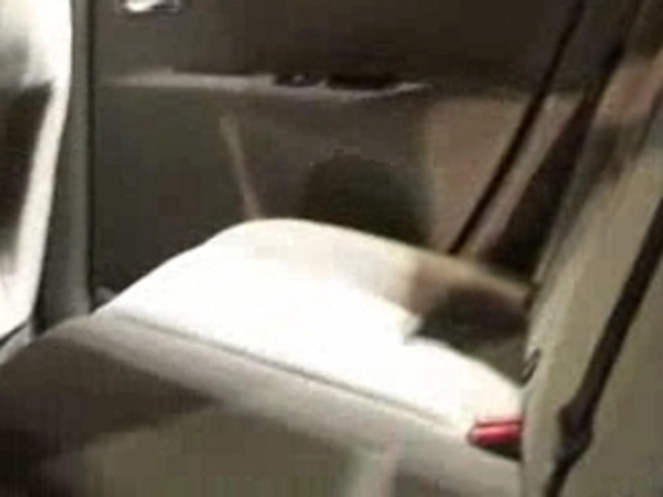 Présentation de la Peugeot 207