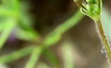 생중계바카라바카라사이트≪≪ kdma77.com ≫≫생중계바카라바카라게임싸이트