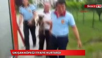 Köpek kanala sıkıştı